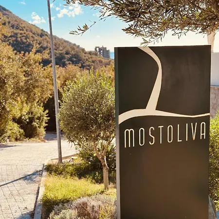 Oliva Apart Otel Budva