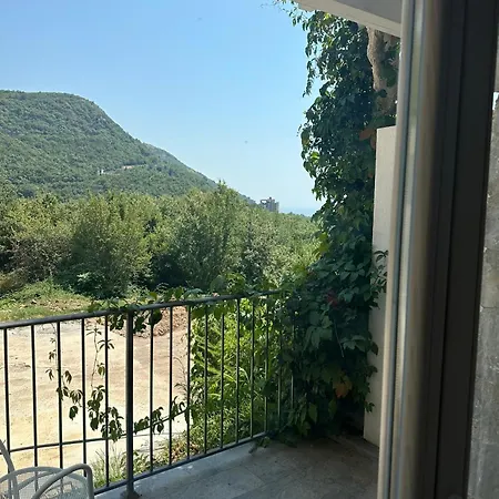 Oliva