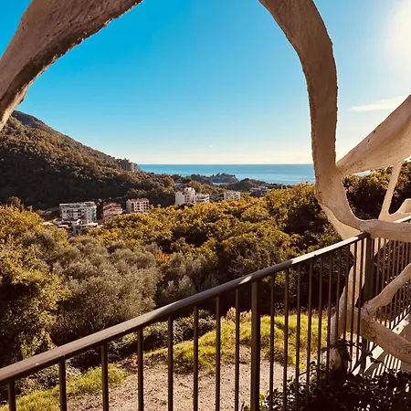 Oliva Budva