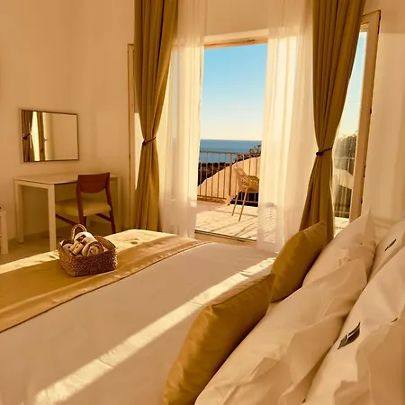Oliva Budva