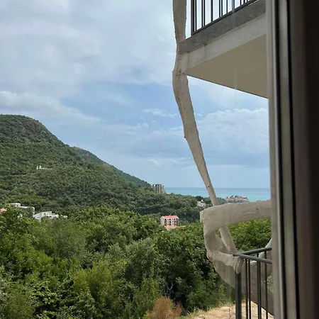 Oliva