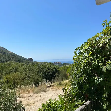 Oliva 4*